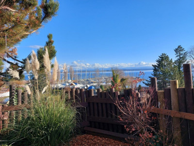 Spacieuse villa avec vue sur le lac et les alpes image 3