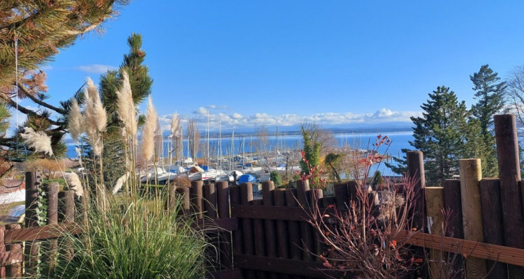 Spacieuse villa avec vue sur le lac et les alpes image 3