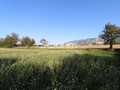 Très beau rez-de-jardin image 1