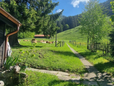 Chalet à réinventer – ancien gîte au cœur de la nature, Chamby (VD) image 8