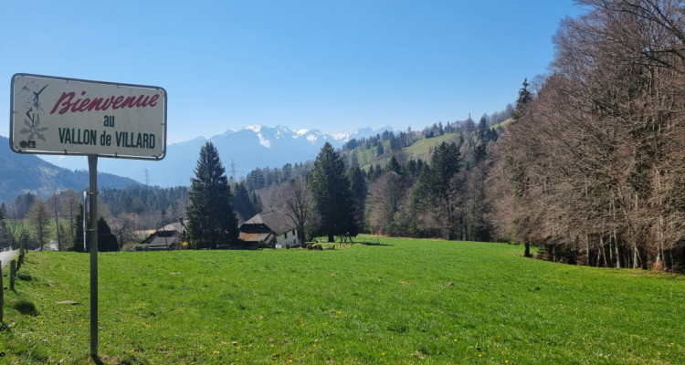 Chalet à réinventer – ancien gîte au cœur de la nature, Chamby (VD) image 11