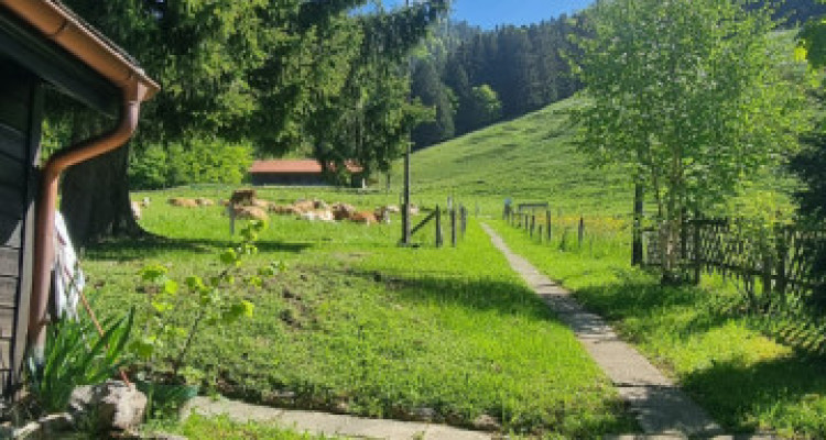Chalet à réinventer – ancien gîte au cœur de la nature, Chamby (VD) image 8