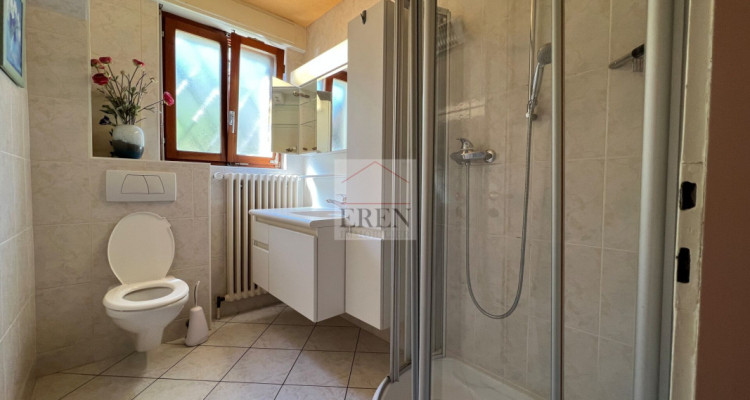 Maison individuelle 4,5 pièces de 160 m2 avec terrasse-pelouse + sous-sol image 10