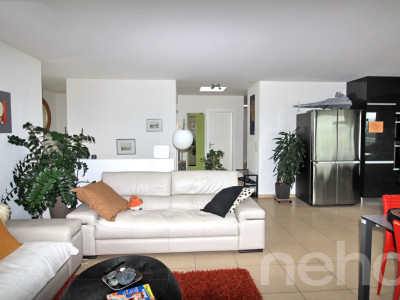 Attique lumineux de 4,5 pièces sans vis-à-vis image 12