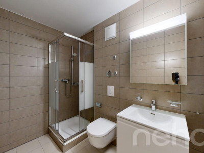 Appartement familial 5.5 pièces au c?ur de Crassier image 9