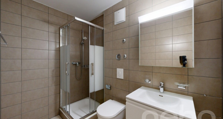 Appartement familial 5.5 pièces au c?ur de Crassier image 9
