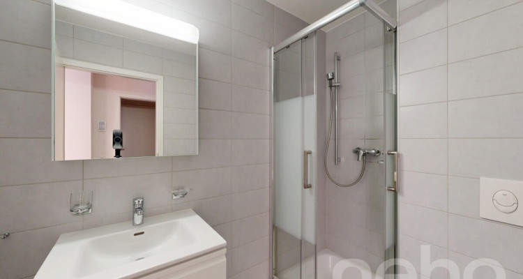 Appartement familial 5.5 pièces au c?ur de Crassier image 10