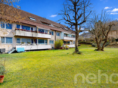 Lichtdurchflutete Dachwohnung mit Terrasse und Cheminée image 3