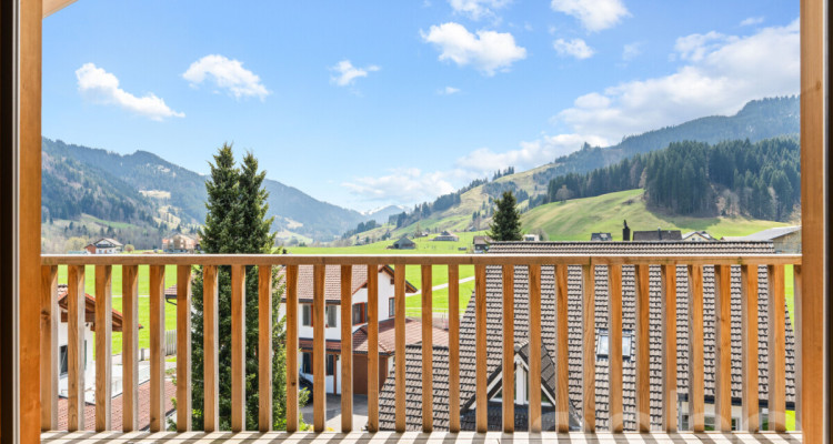 Hochwertige Attika Maisonette mit Alpine Chic Charakter image 11