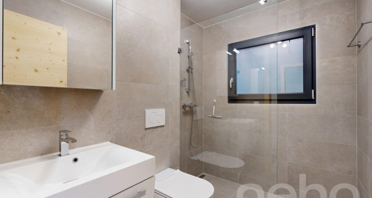 Exclusif: Chalet de 2024 dans les hauts de Saxon image 10