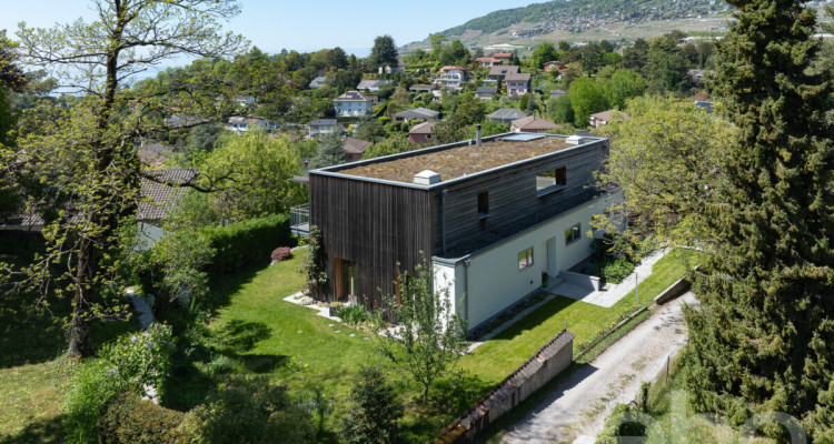 Villa contemporaine de standing dans un cadre privilégié à Vevey image 12