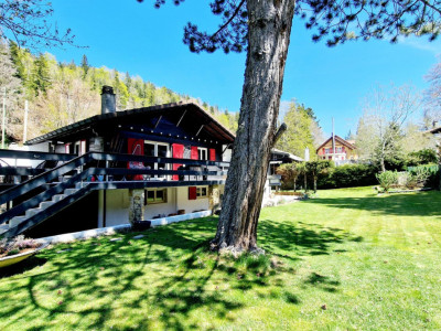 Bird song Chalet, Saint-Cergue exclusive sale Abby Bryand Real Estate image 12