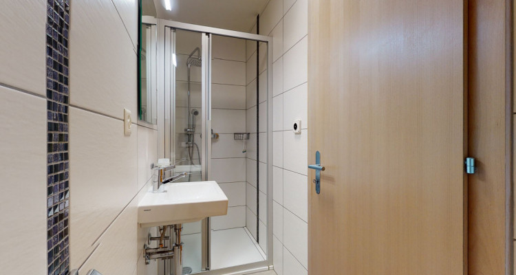 Appartement avec jardin privatif et véranda image 9