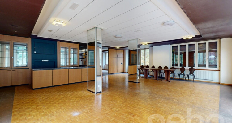 OPPORTUNITÉ RARE : RÉVEILLEZ LA LÉGENDE DE LA MAISON MONSIEUR image 2