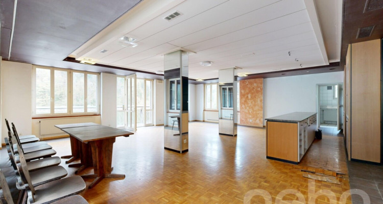 OPPORTUNITÉ RARE : RÉVEILLEZ LA LÉGENDE DE LA MAISON MONSIEUR image 3