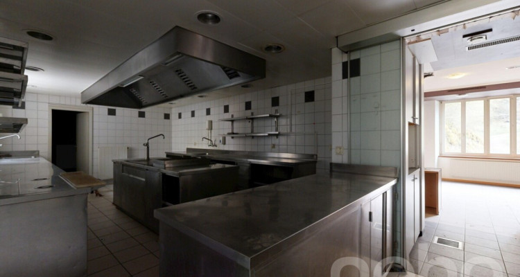 OPPORTUNITÉ RARE : RÉVEILLEZ LA LÉGENDE DE LA MAISON MONSIEUR image 8