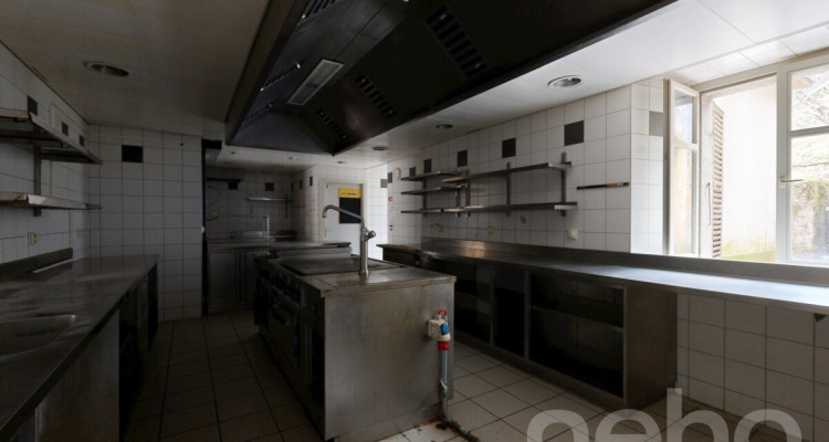 OPPORTUNITÉ RARE : RÉVEILLEZ LA LÉGENDE DE LA MAISON MONSIEUR image 9