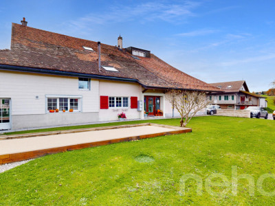 Lumineux 3.5 pièces avec jardin et vue dégagée image 12