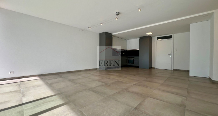 Spacieux et lumineux appartement 3,5p et grande terrasse sud à louer à Fully image 1