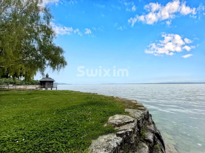 Appartement T5.5 avec terrasse et jardin au bord du lac image 4
