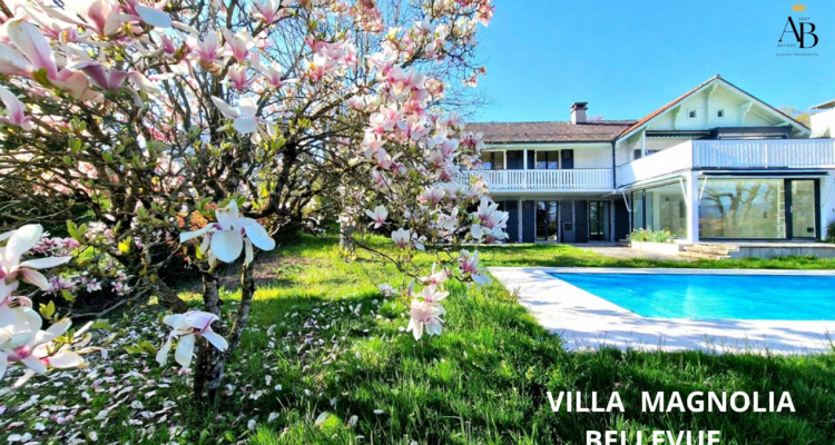 Abby Bryand Luxury properties presents: Magnolia Villa / Bellevue image 2