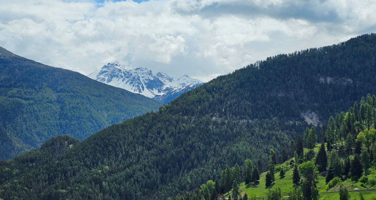 Chalet dexception avec espace bien-être et vue panoramique avec grand appartement indépendant de 3,5 pièces . image 2