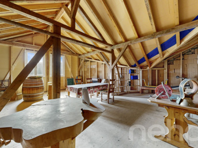 Ancienne ferme rénovée ? volumes d?exception et cadre privilégié image 12