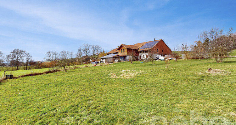 Ancienne ferme rénovée ? volumes d?exception et cadre privilégié image 1