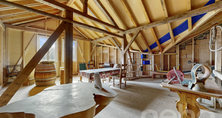 Ancienne ferme rénovée ? volumes d?exception et cadre privilégié image 12