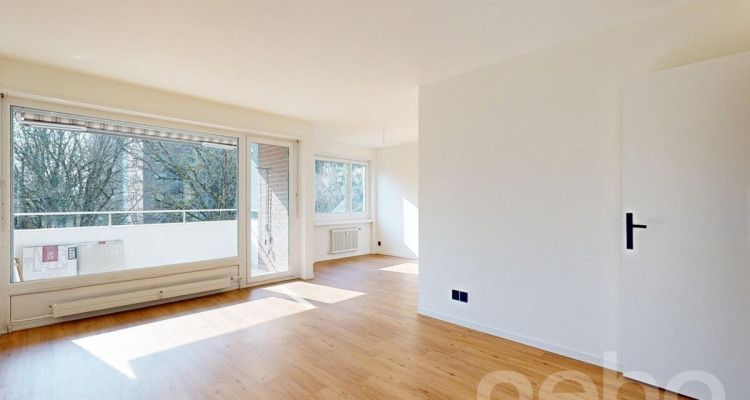 Komplett renovierte Wohnung mit Balkon und Tiefgarage in Rheinfelden image 4