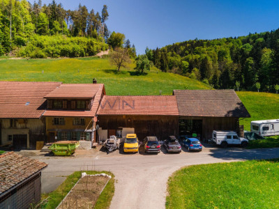 Naturparadies für Mensch und Tier image 5