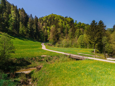 Naturparadies für Mensch und Tier image 7