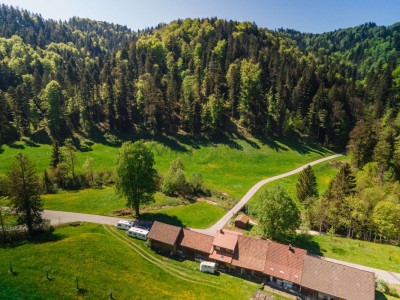 Naturparadies für Mensch und Tier image 8