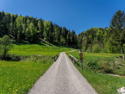 Naturparadies für Mensch und Tier image 12