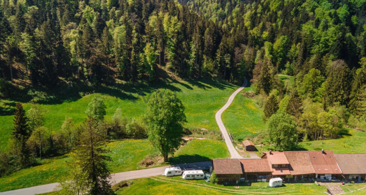Naturparadies für Mensch und Tier image 1