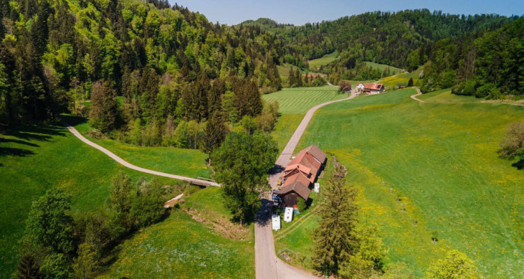 Naturparadies für Mensch und Tier image 4