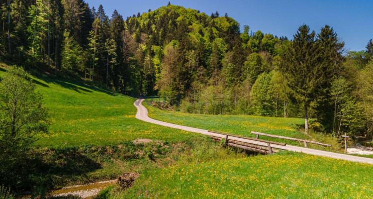 Naturparadies für Mensch und Tier image 7