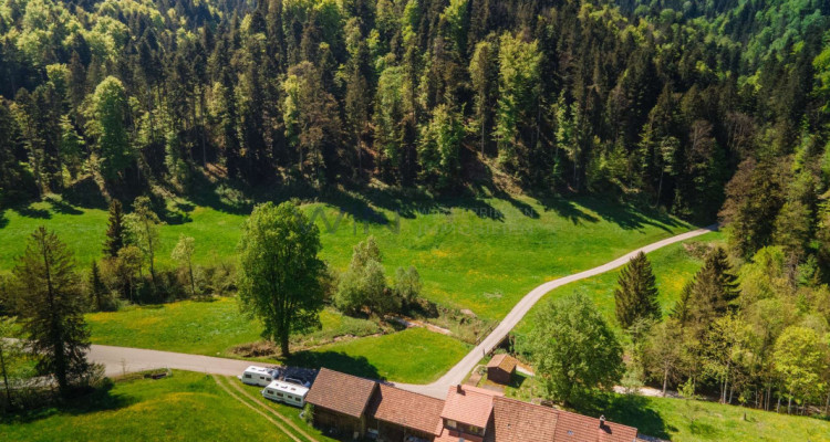 Naturparadies für Mensch und Tier image 8