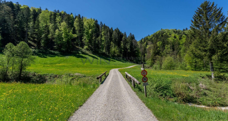 Naturparadies für Mensch und Tier image 12