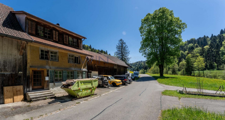 Naturparadies für Mensch und Tier image 13