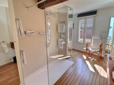 Magnifique maison en viager occupé sans rente avec splendide vue Lac image 13