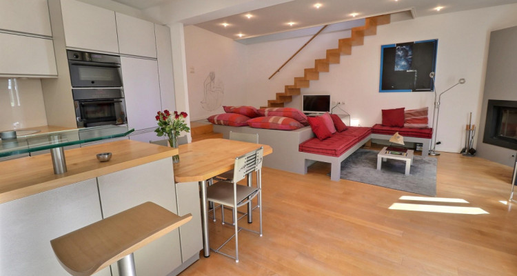 Magnifique maison en viager occupé sans rente avec splendide vue Lac image 8