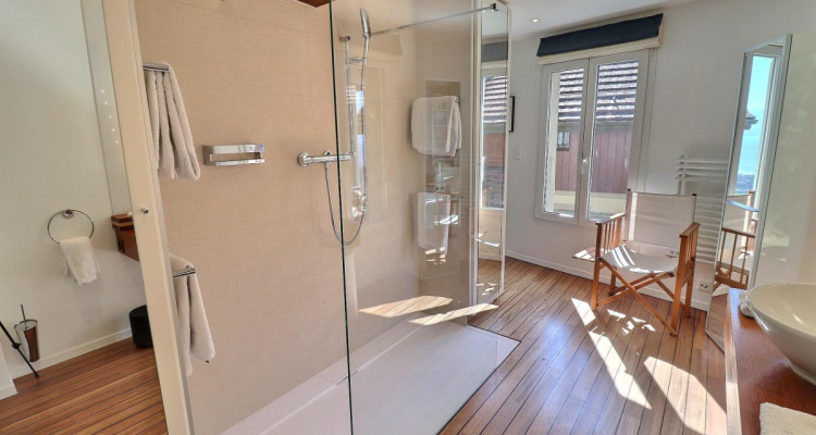 Magnifique maison en viager occupé sans rente avec splendide vue Lac image 13