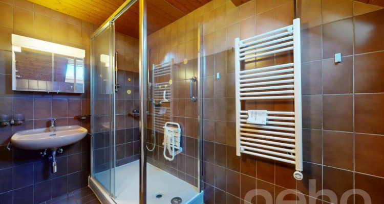 Charmant 3.5 pièces en duplex avec balcon et vue lac & Alpes image 12