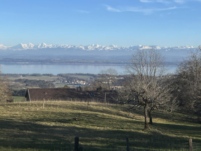 Magnifique parcelle constructible de 3383 m² avec vue image 2