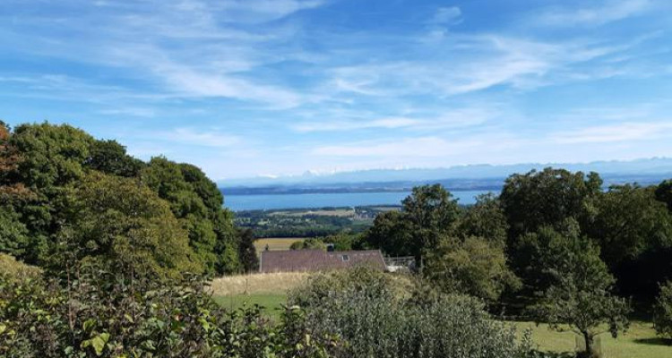 Magnifique parcelle constructible de 3383 m² avec vue image 1
