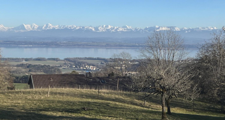 Magnifique parcelle constructible de 3383 m² avec vue image 2