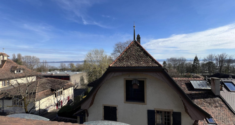 Une opportunité unique image 5