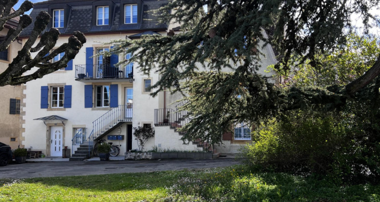 Une opportunité unique image 7