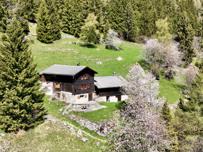 Véritable chalet coup de coeur – Havre de paix face aux montagnes image 1